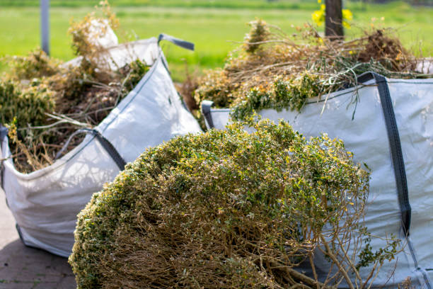 Best Residential Junk Removal  in Wilder, VT